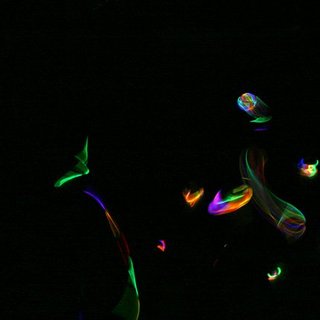 IMG_0307.jpg