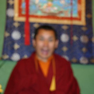 IMG_1352.jpg