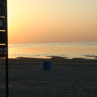 IMG_1930.jpg