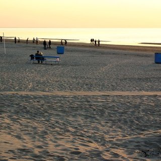 IMG_1932.jpg