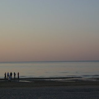 IMG_1934.jpg