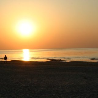 IMG_1936.jpg