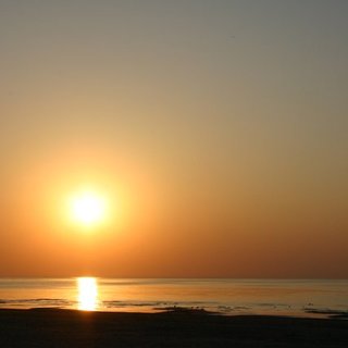 IMG_1938.jpg