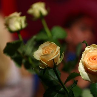 IMG_2663.JPG
